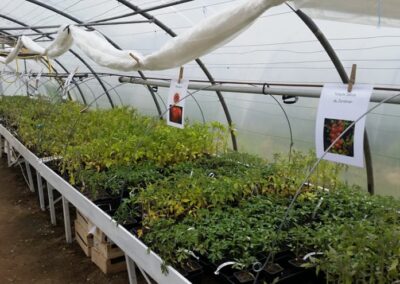 potager bio esnov portes ouvertes