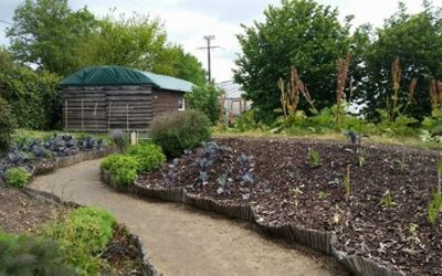 Portes Ouvertes au Potager Bio