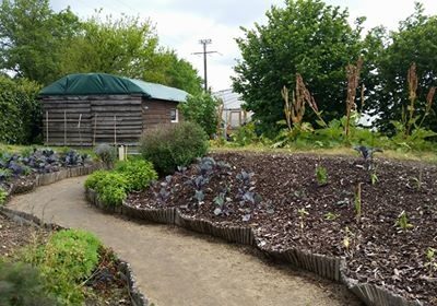 potager bio esnov portes ouvertes