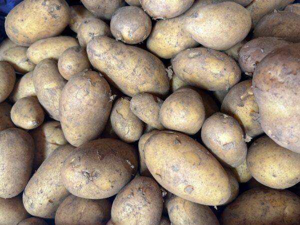 POMME DE TERRE - Allians