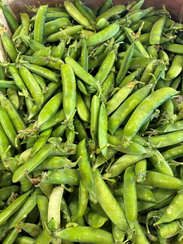 Petit pois