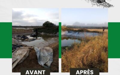 Intervention sur des espaces naturels de l’île de Noirmoutier