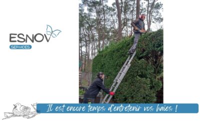 Il est encore temps d’entretenir vos haies !