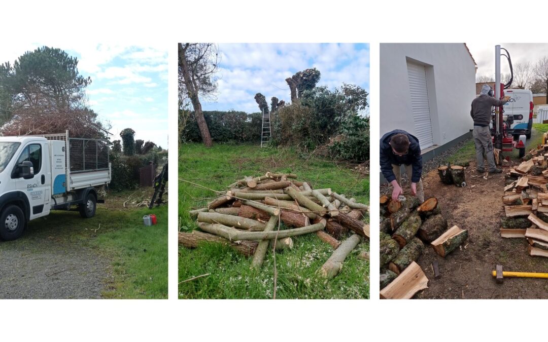 Que font nos jardiniers en hiver ?