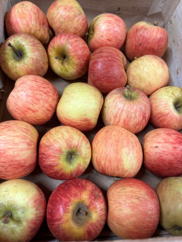 Pomme Fuji
