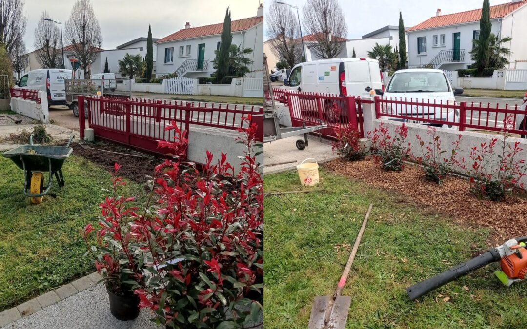 C'est l'heure des plantations