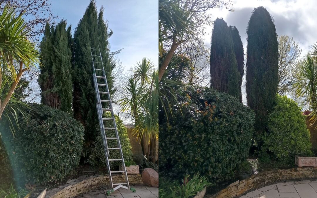 un air de Toscane
