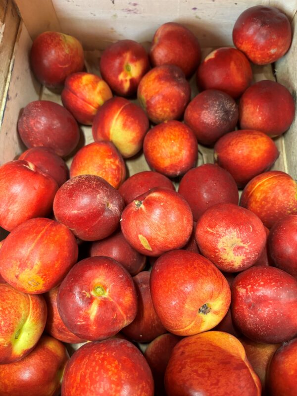 Nectarine