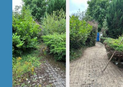 Chantier de restauration 2
