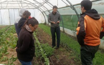 Une formation sur les techniques innovantes pour les équipes du potager !