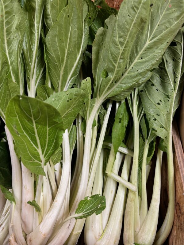 chou Pak Choi