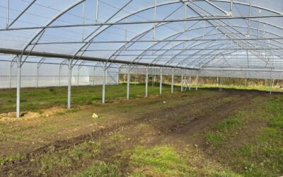 Mise en place de nouvelles serres