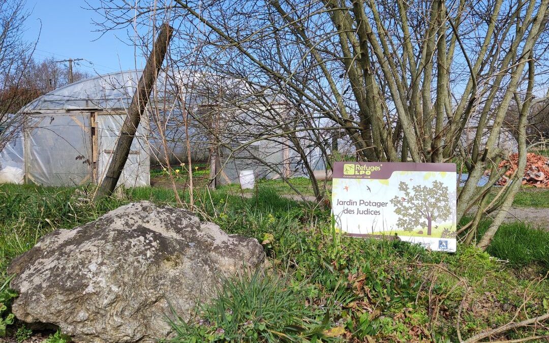 Le jardin des Judices devient Refuge LPO : Pourquoi avoir entamé cette démarche ?