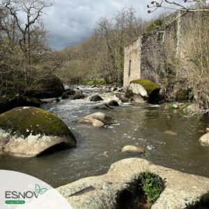 Formation cours d'eau