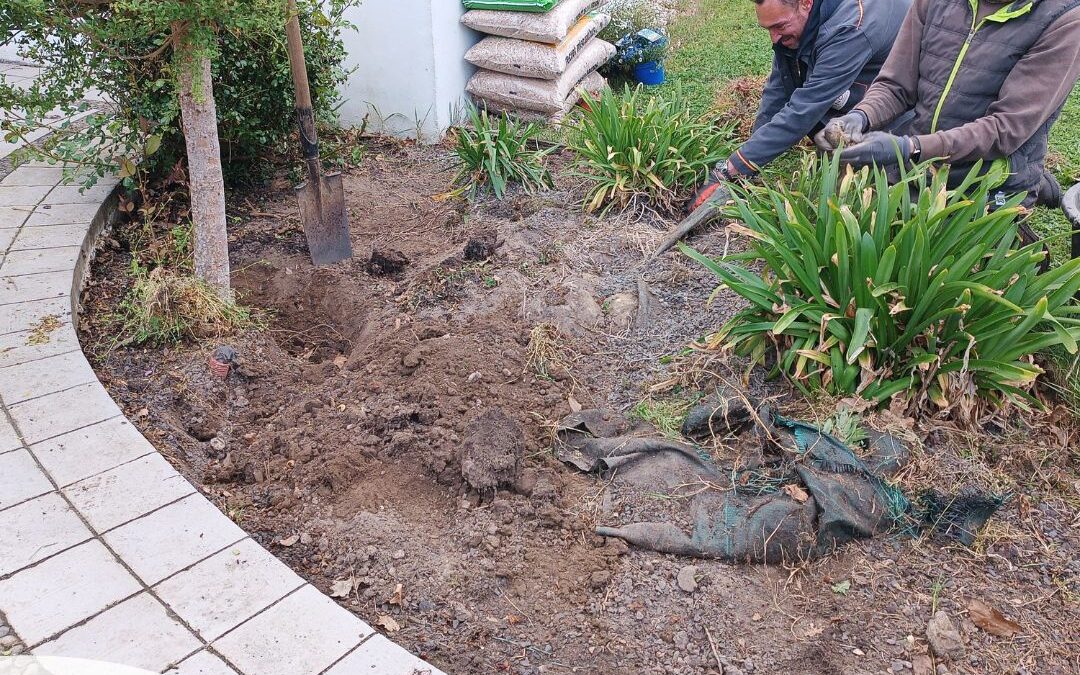 Rénovation et embellissement d’un parterre