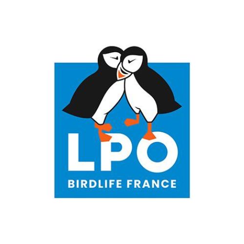 LPO