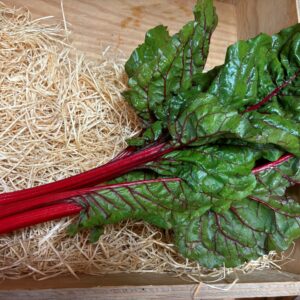 Blette Verte à carde rouge