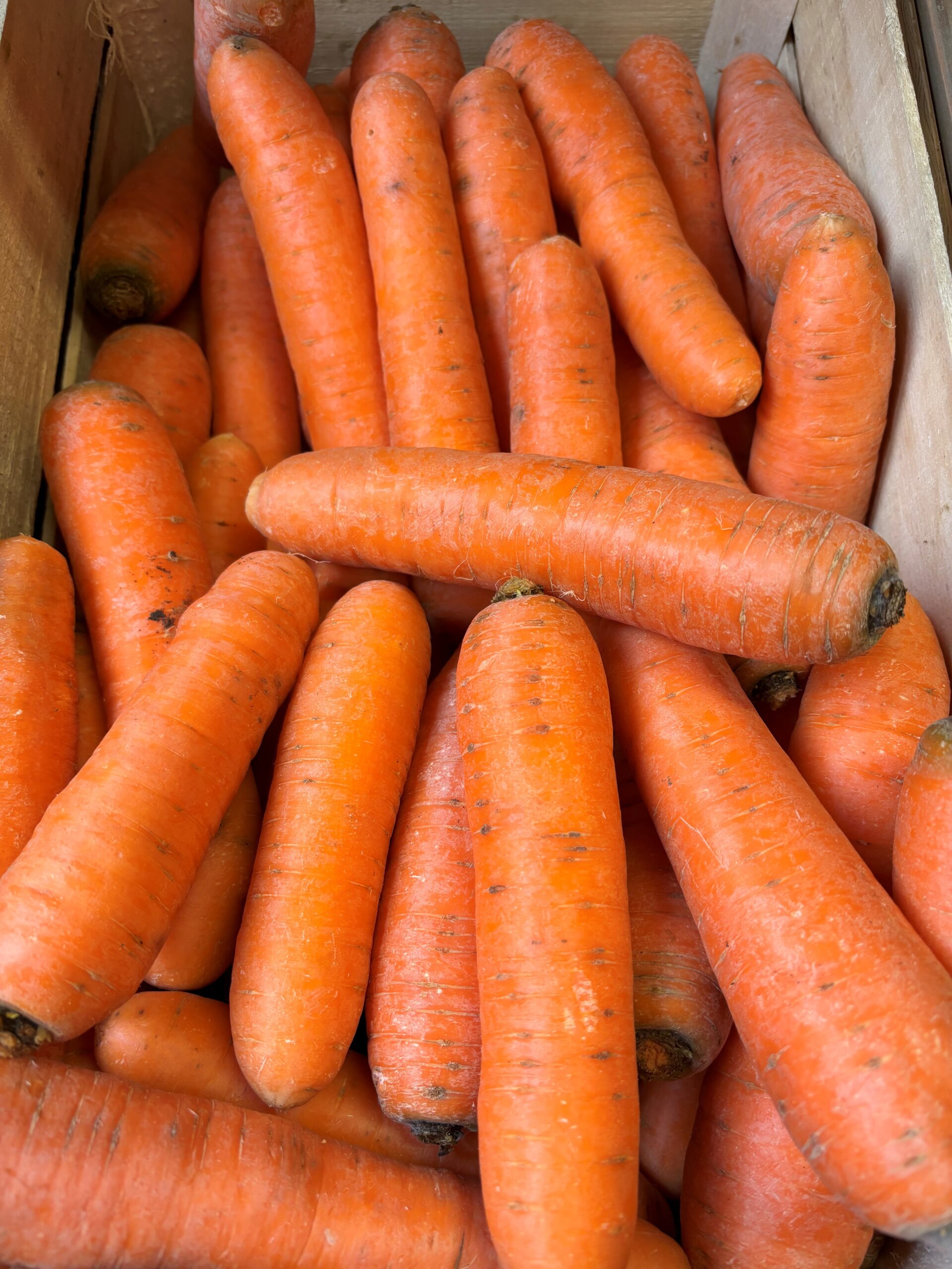 Carotte vrac