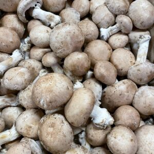 Champignons