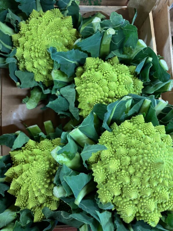 Chou Romanesco