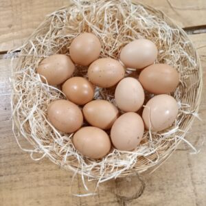 Oeufs Bio