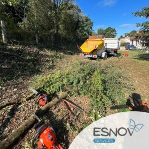 Lisière forestière