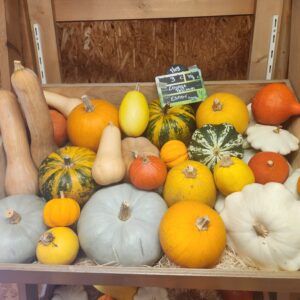 Courges