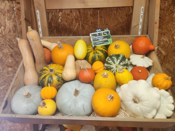 Courges