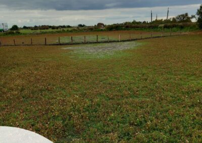 Travaux de restauration