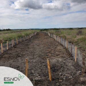 Travaux de restauration