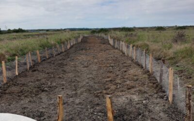 Travaux de restauration